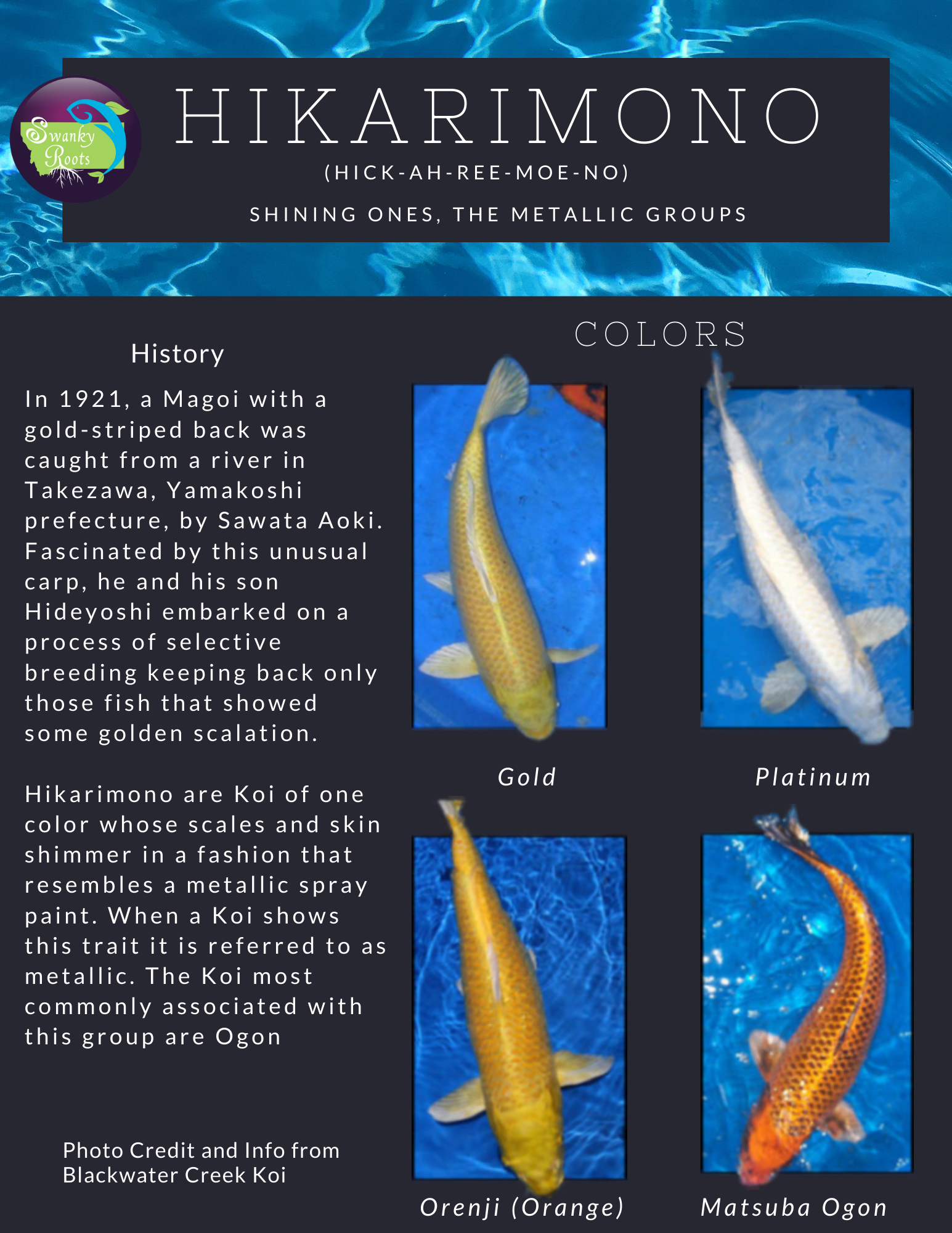 Hanako Fish Koi Fish — Swanky Roots