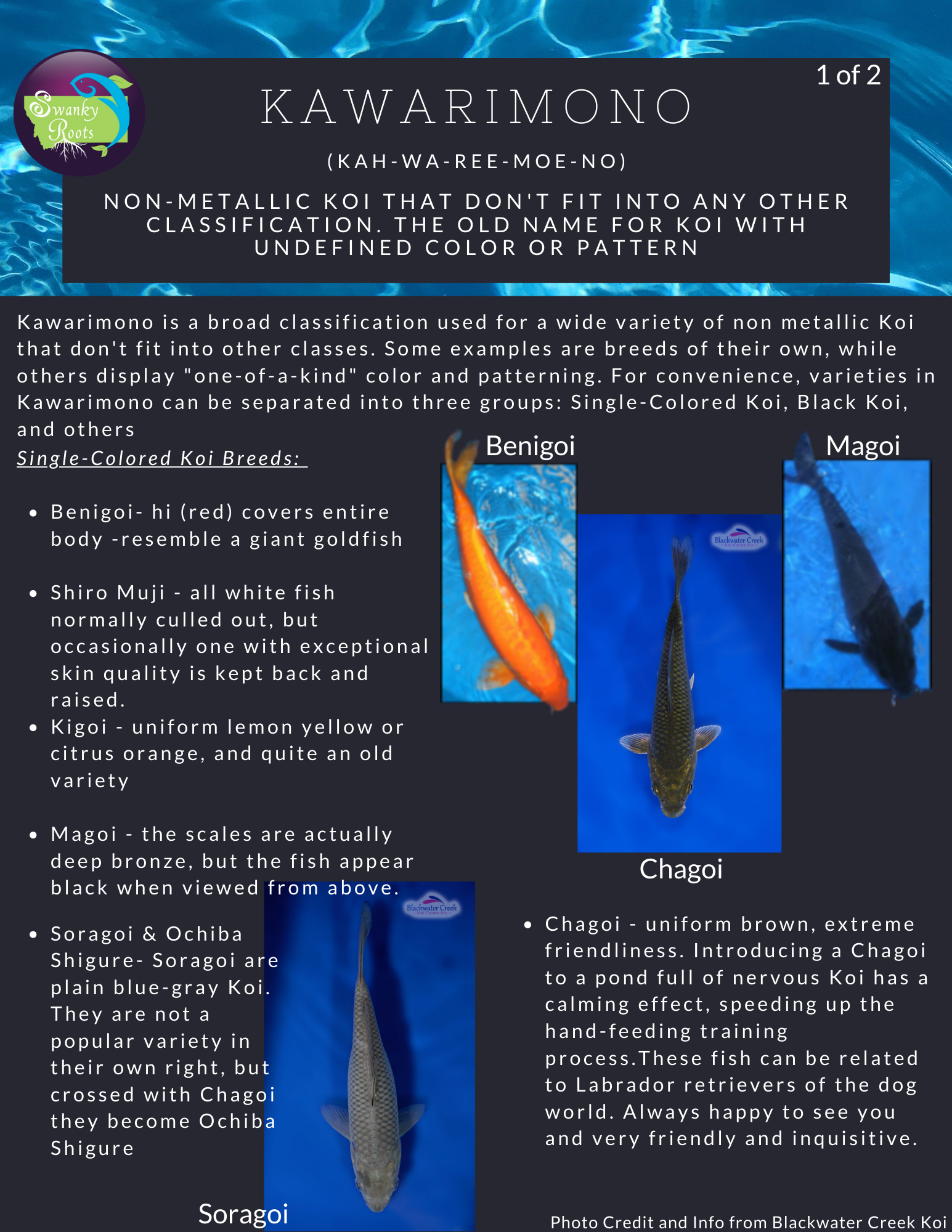 Koi Pattern List Koi Fish — Swanky Roots