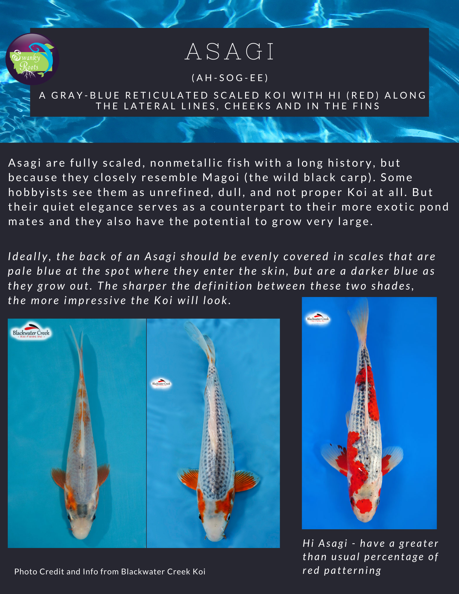 Koi Fish Fins Chart 7 5