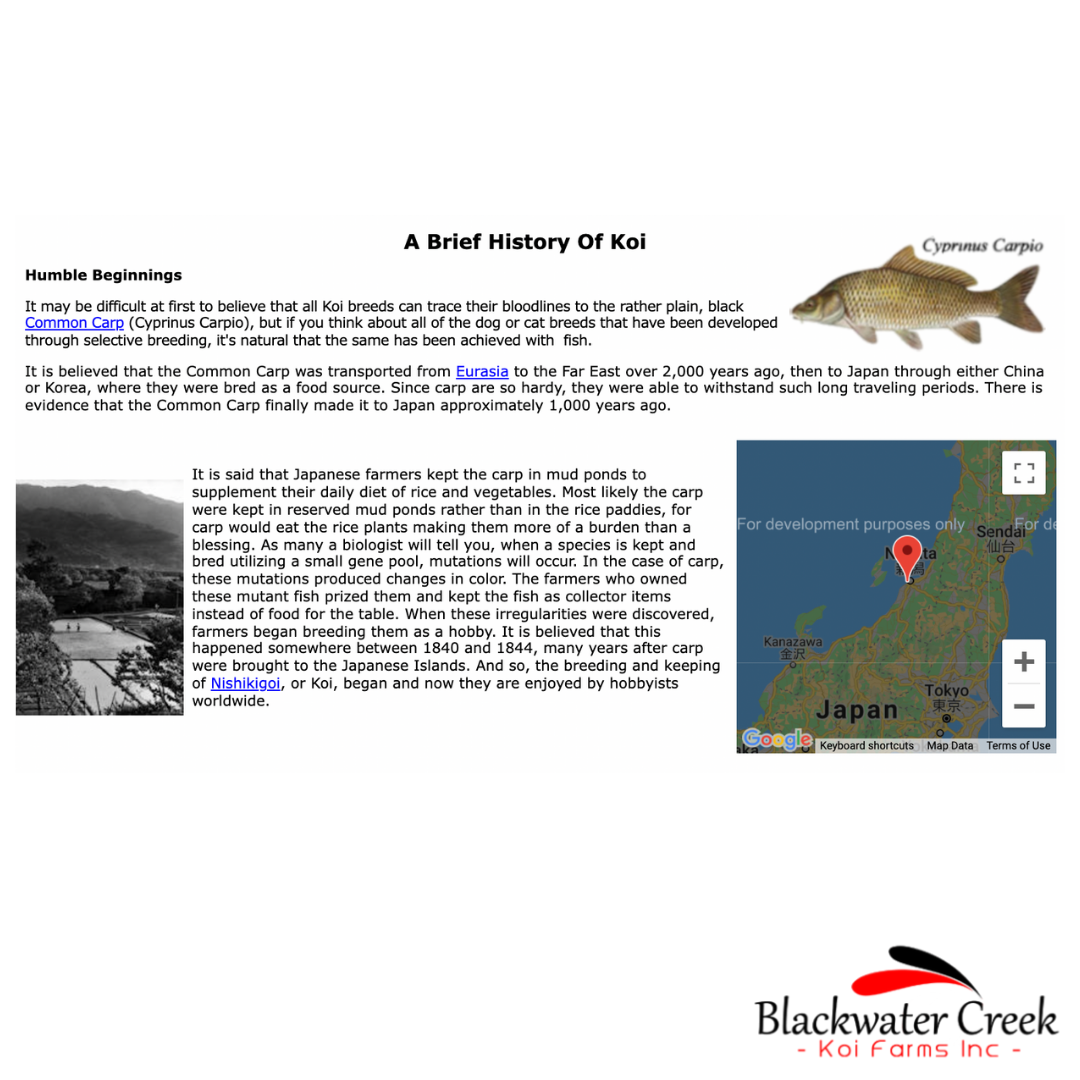 History from Blackwater Creek 