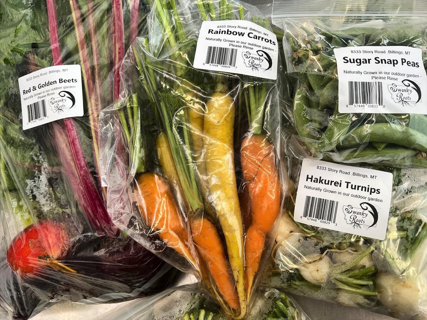 Look at all the veggies you can find at Town &amp; Country Foods in Billings from us! 🥗 And of course lots of our yummy lettuce 🥬 #supportlocal #montanavegetables #montanabusiness