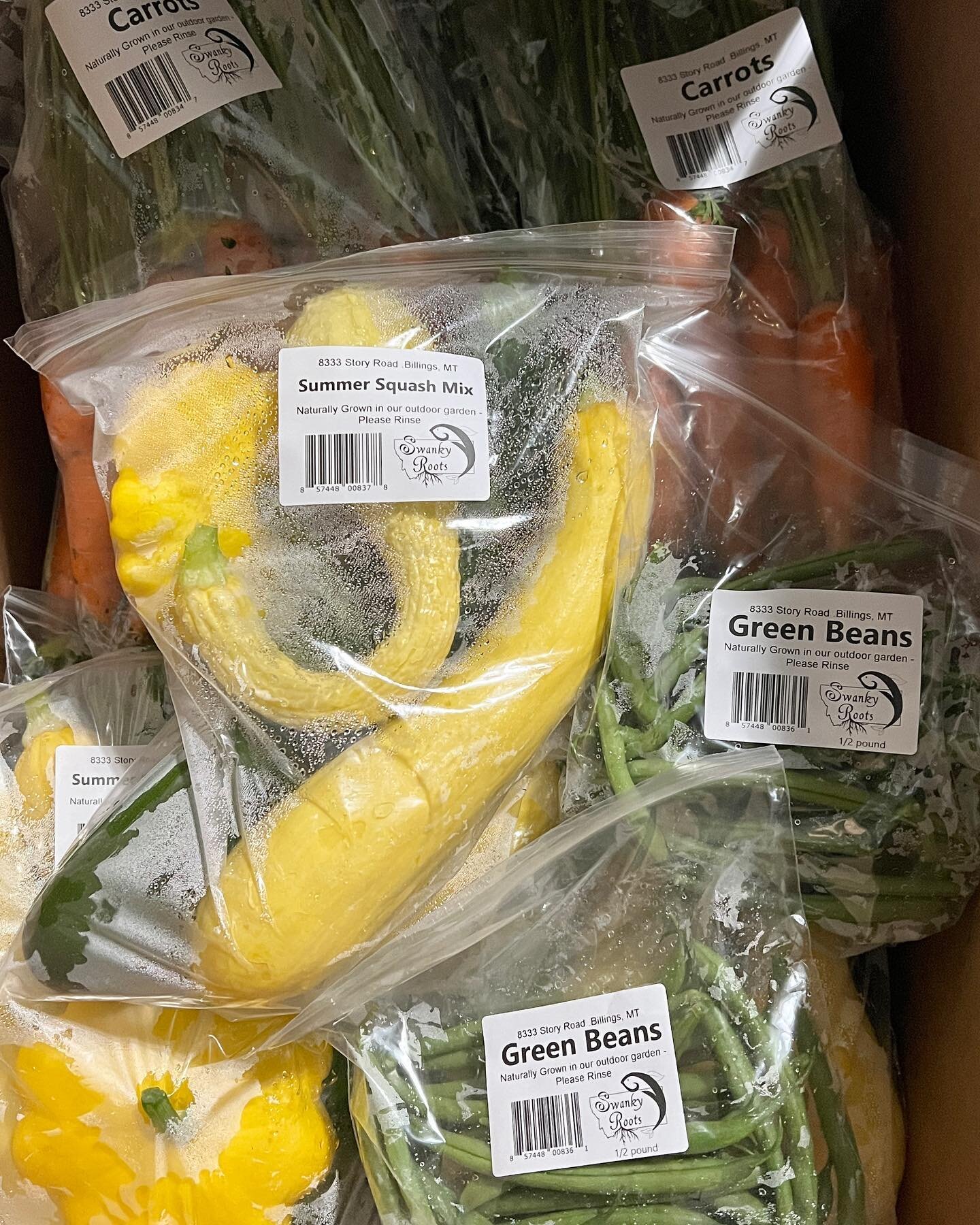 Look at all the veggies you can find from us at Town &amp; Country Foods in Billings! And of course , our lettuce 🥬 #billingsmontana #billings #supportlocal #smallbusinesssupport