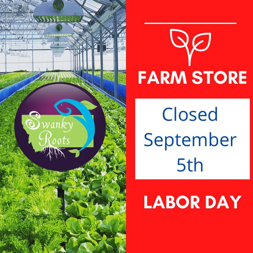 We will be closed Monday but still open this SATURDAY! Swing by from 10am-4pm to stock up on all the fresh lettuce and garden goodies 🥗 #laborday #billingsmontana #montana #montanafood #veggies #lettuce