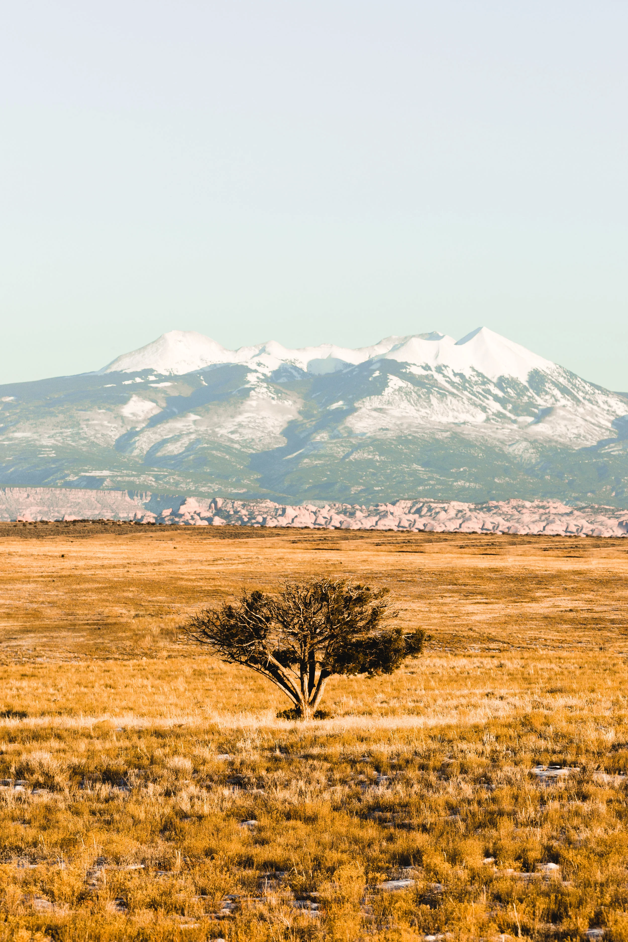 29. Canyonlands Roadside Utah.jpg