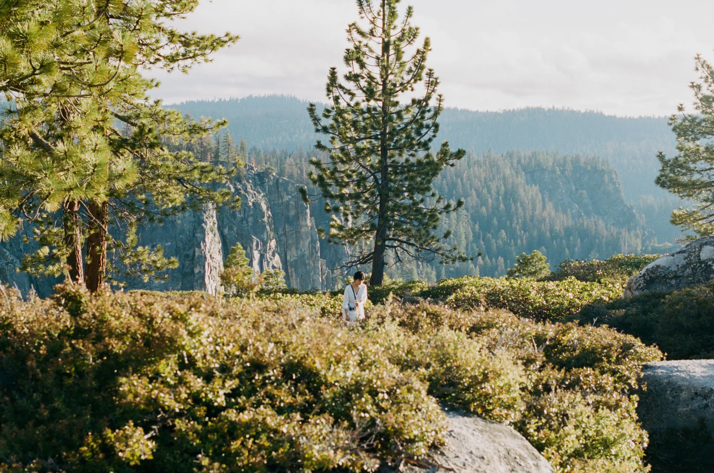 Melody @ Taft Point (Portra 400)