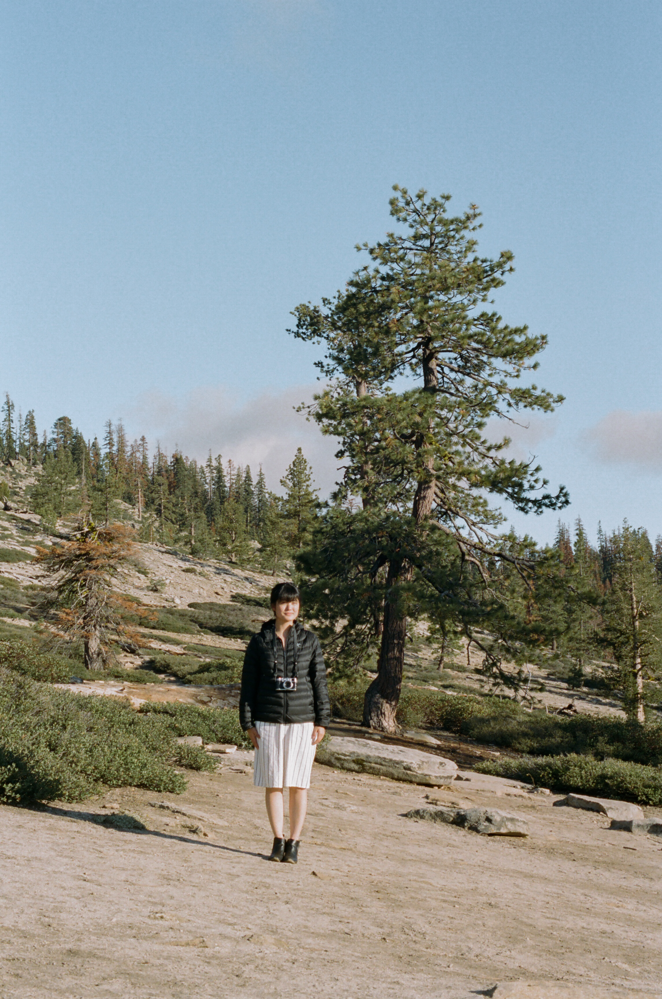 A girl, her camera, and a tree (Portra 400)