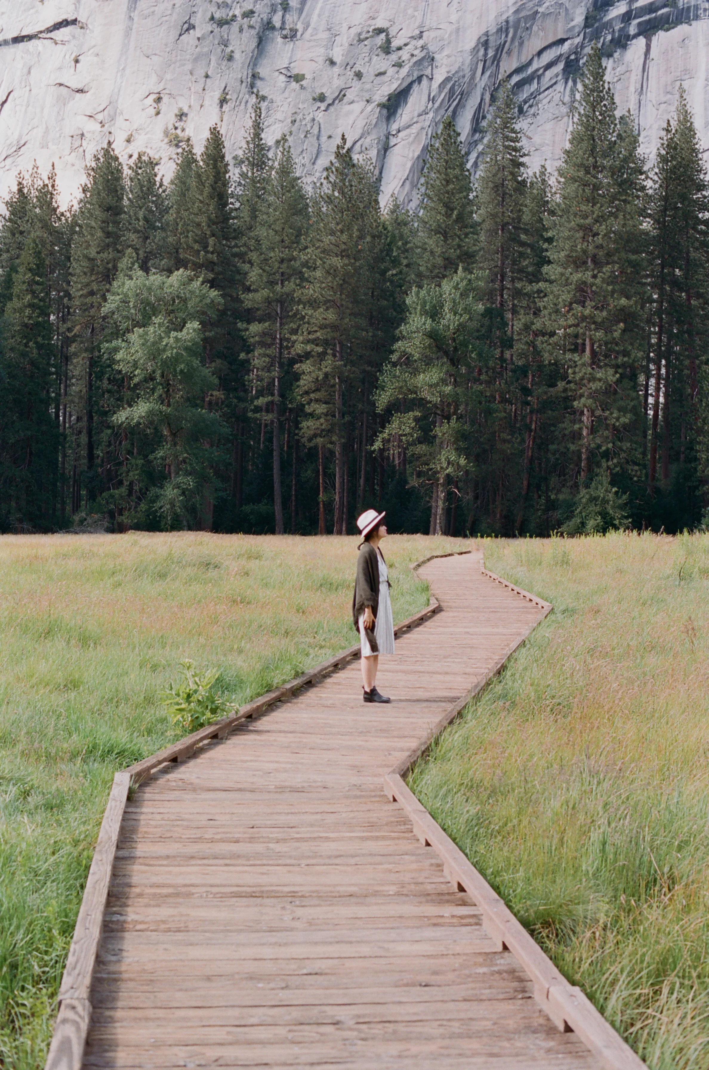 Stop & Stare (& Pose) (Ektar 100)