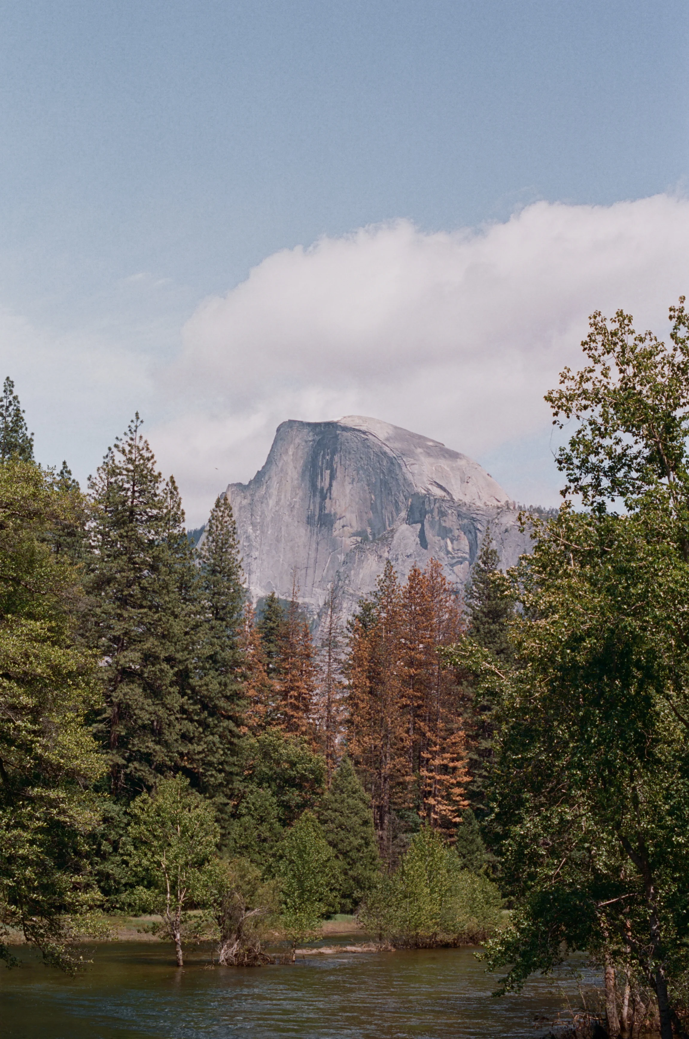 Half Dome (Ektar 100)