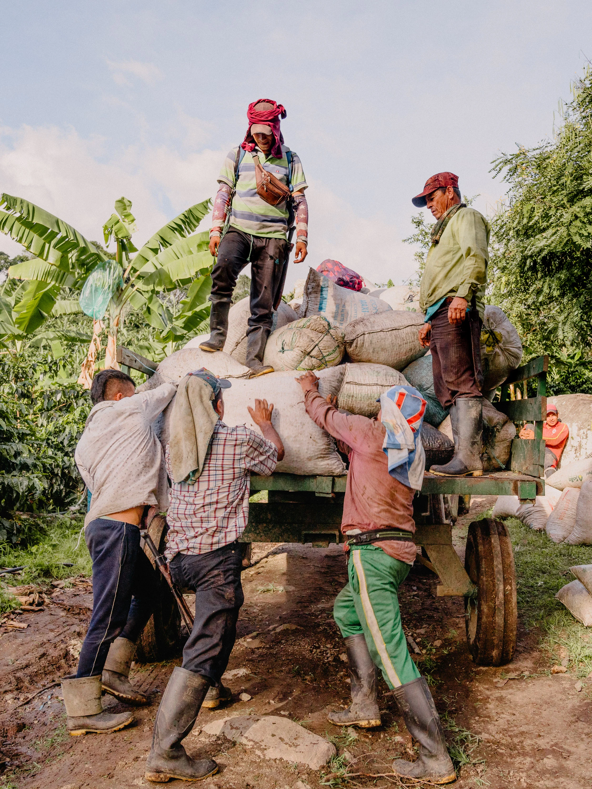Emanuel-Hahn-Colombia-Coffee-Farmers-Huila-Manizales-Pagpropina-23.jpg