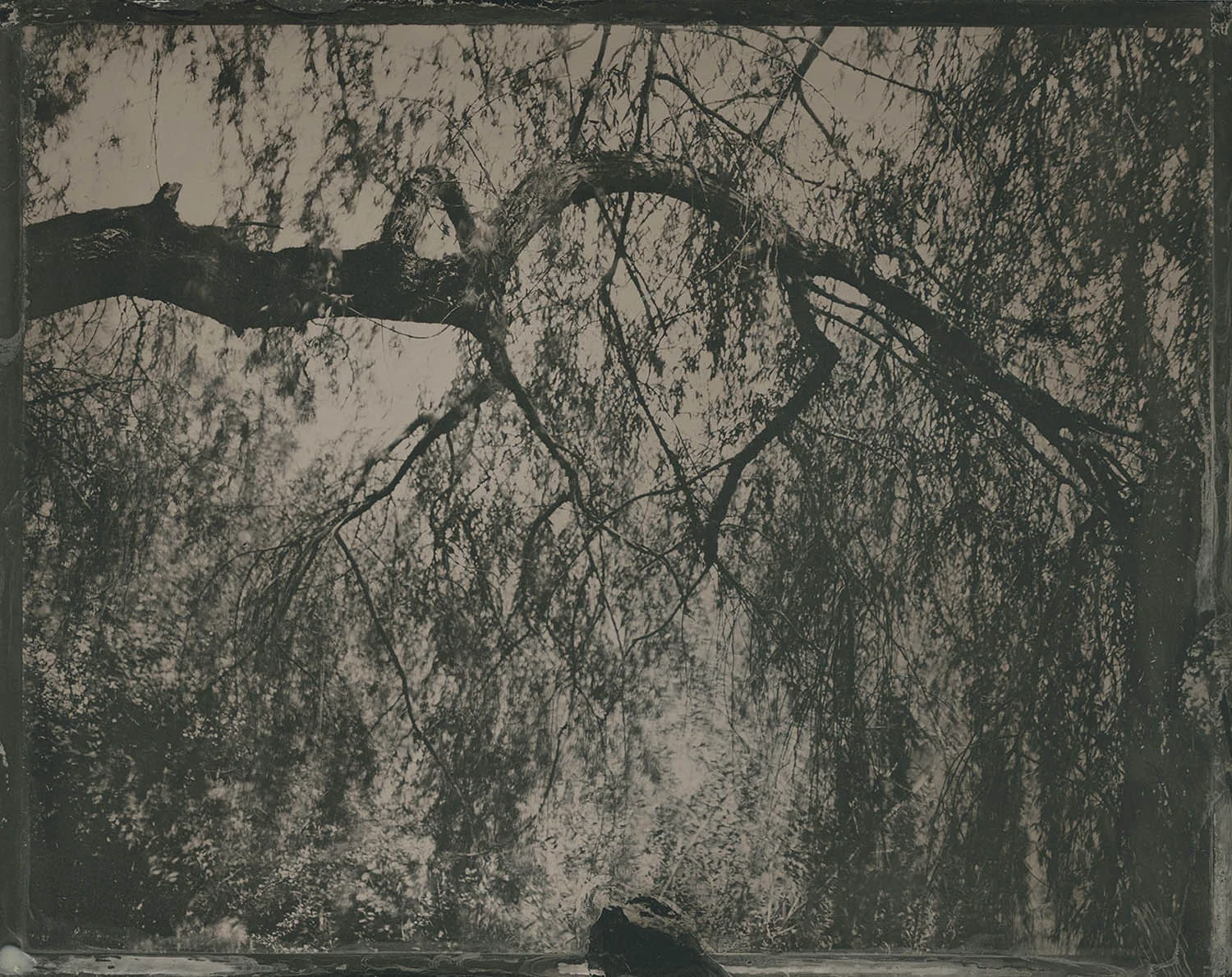 Ode to Borut - By: Geoffrey Wallang