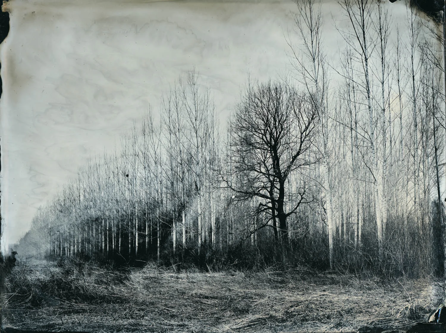 Singly - By: Gabriel Kiss