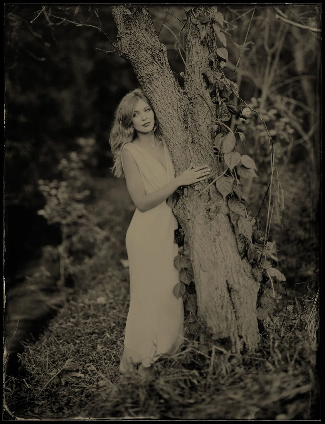 Giver of Life - By: Stephen Brule www.stephenbrule.com