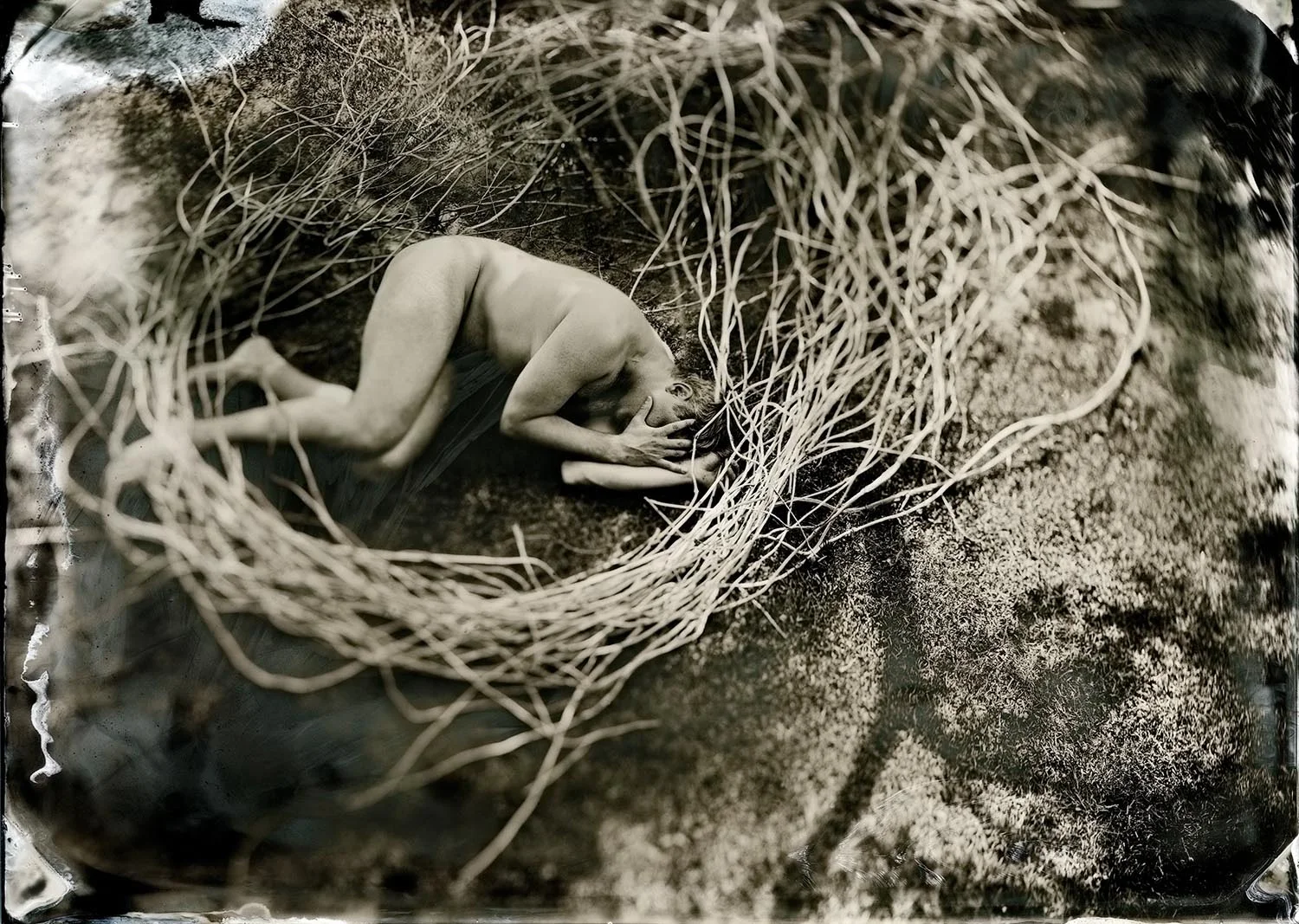 NEST - By: Imre Becsi www.flickr.com/photos/jonespointfilm/