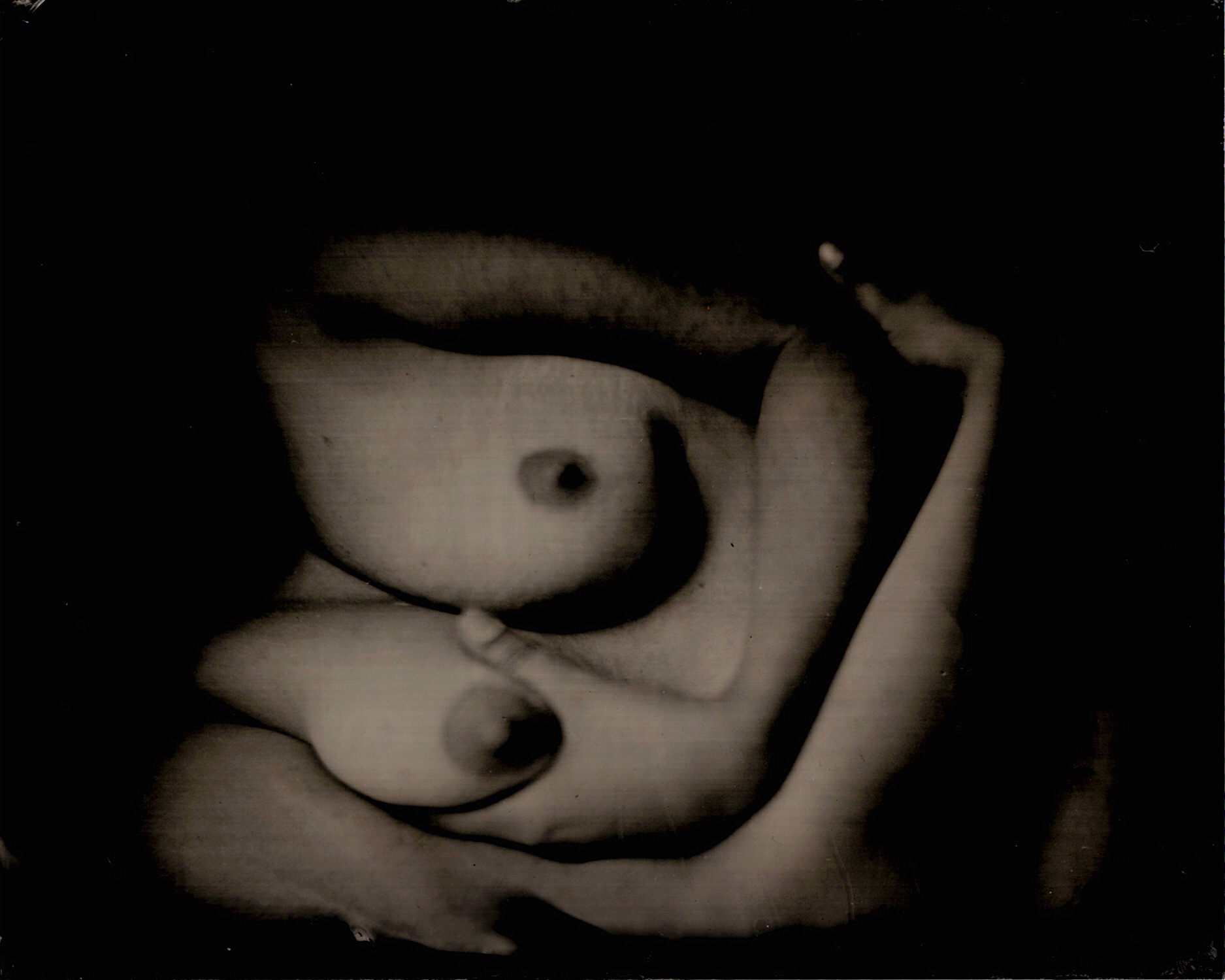Nest - By: Ursula Ferrara