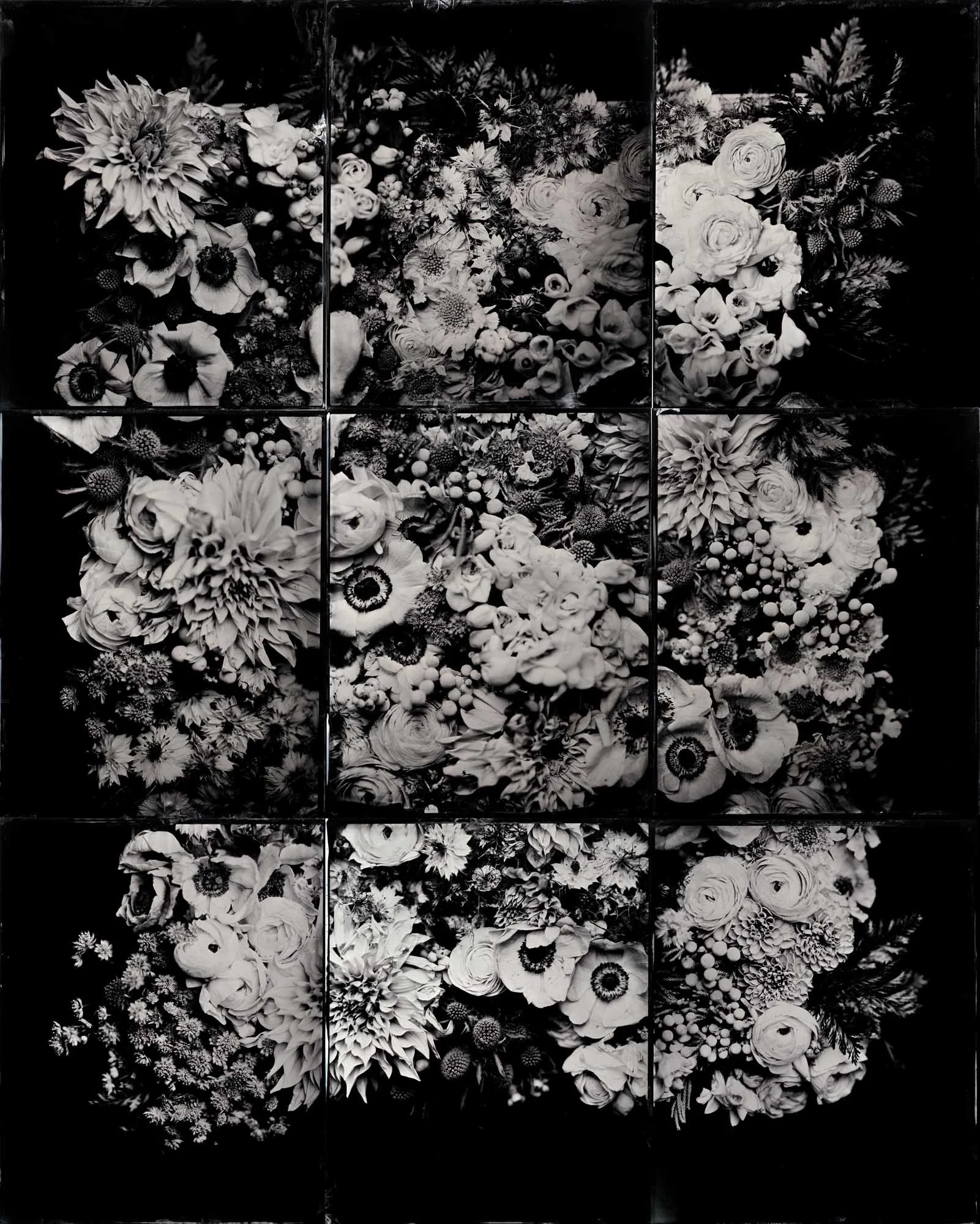 Title : What Feeds II By: Carla Rodriguez www.blkkhand.com