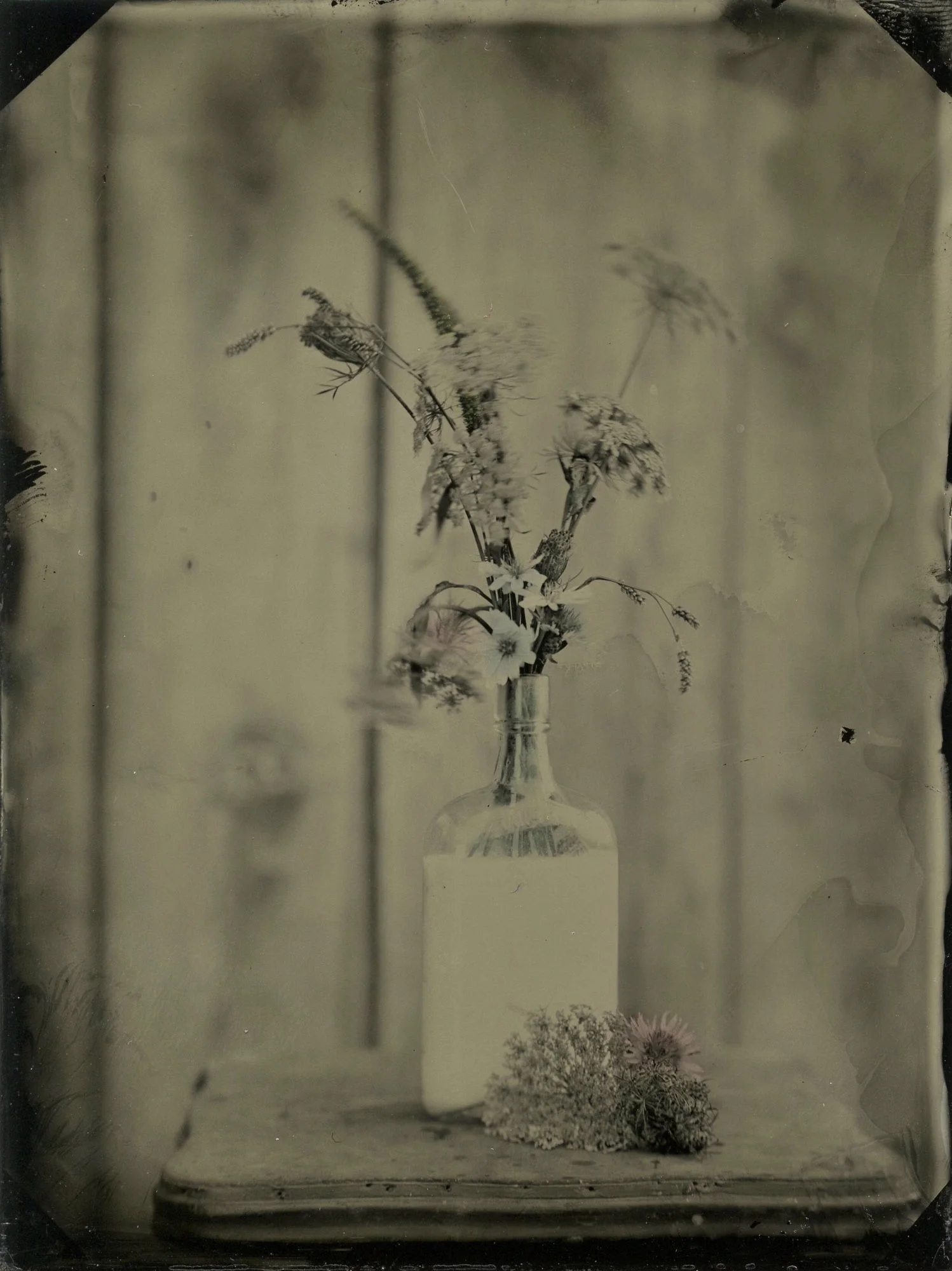 Title : Mother’s Milk & Wildflowers By: Amanda Corbett www.salvagesparrow.com
