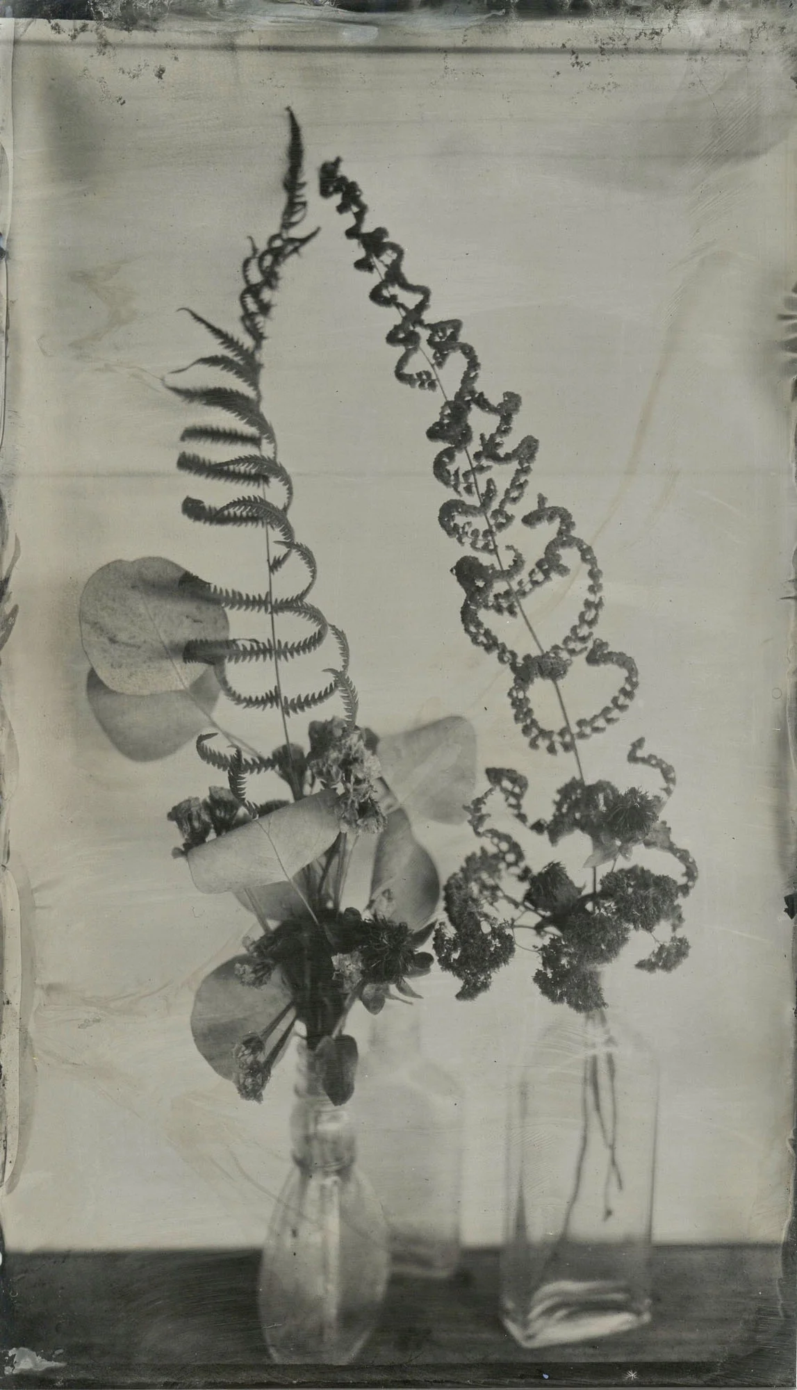 Title : Delicates By: Amanda Corbett www.salvagesparrow.com