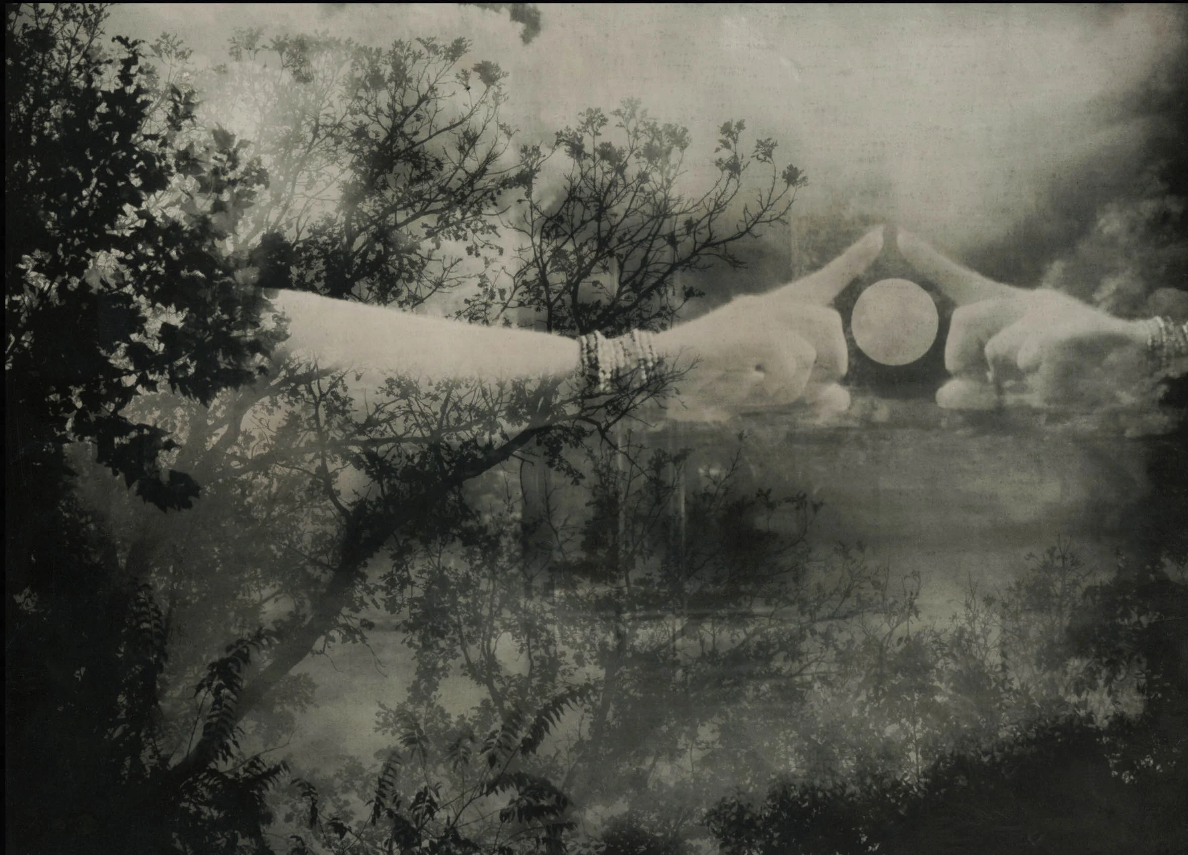 Title : Shaman By: Sara Silks sara@sarasilks.com