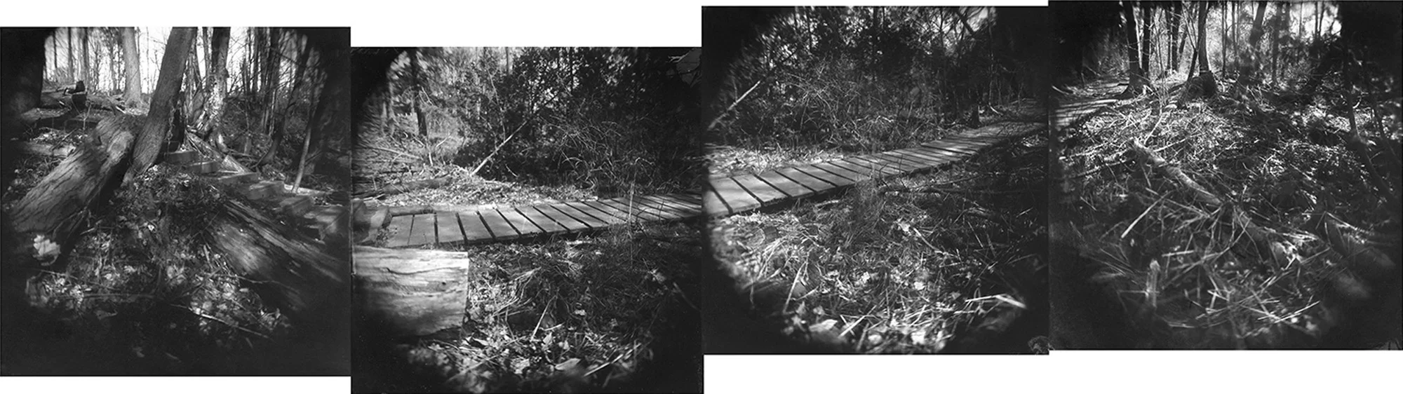 482402501XinHe_72862489_Untitled2 copy.jpg