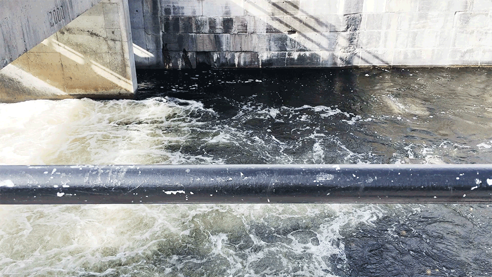 MTL_River.gif