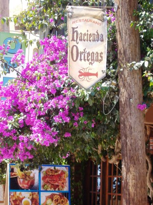 Hacienda Ortegas