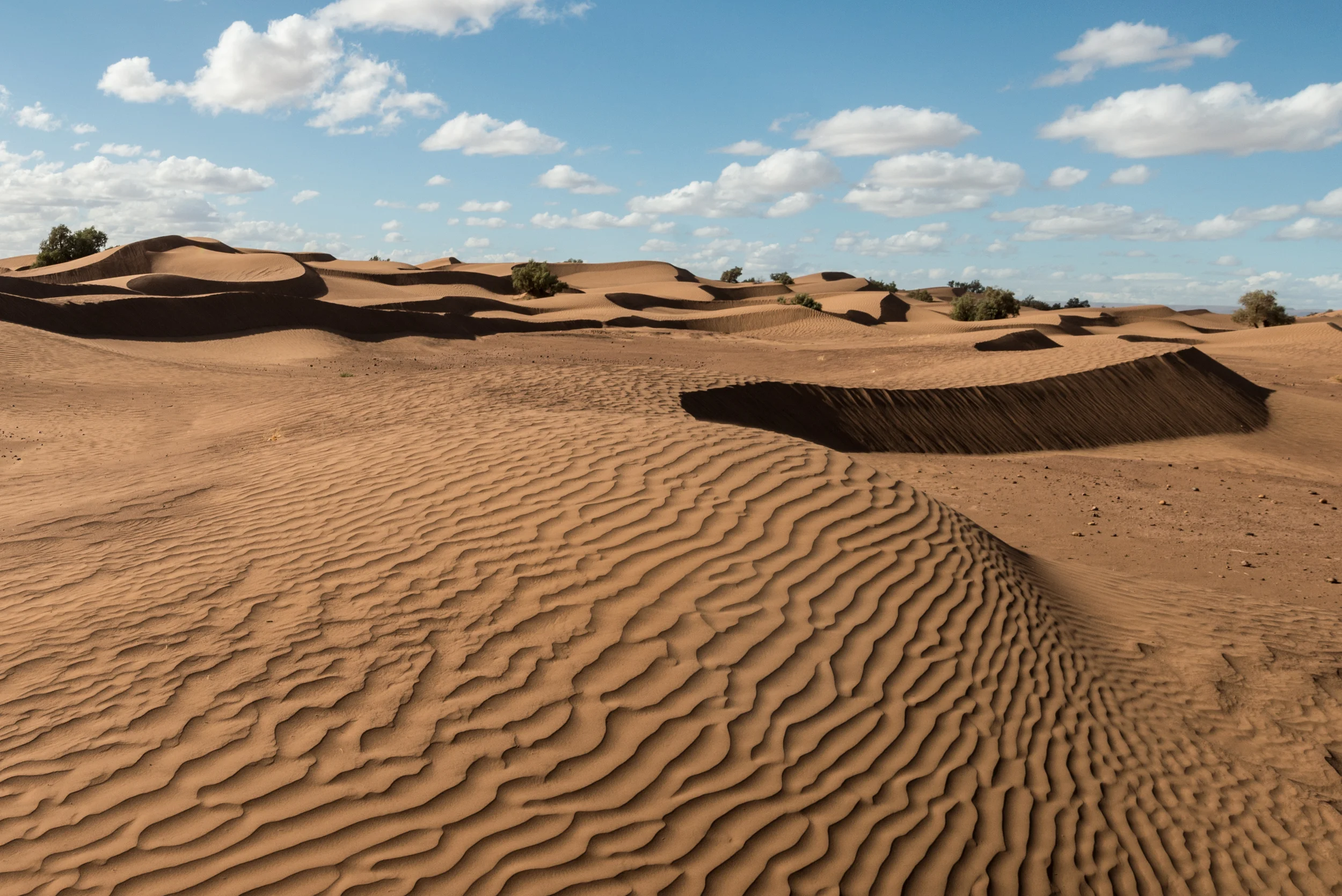 2016_01_19_Morocco_16.JPG