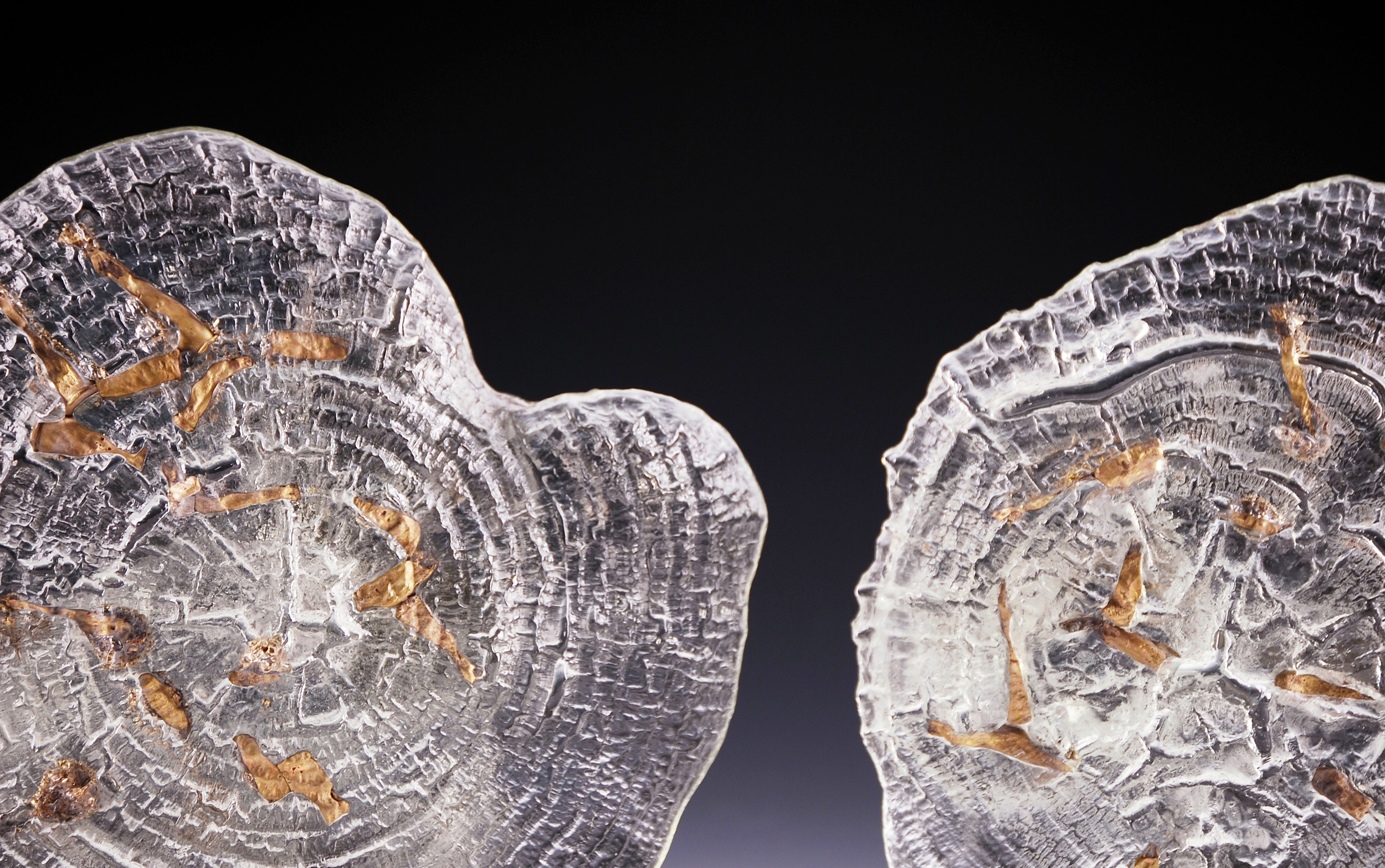 Ghost Embers with Brass (detail)