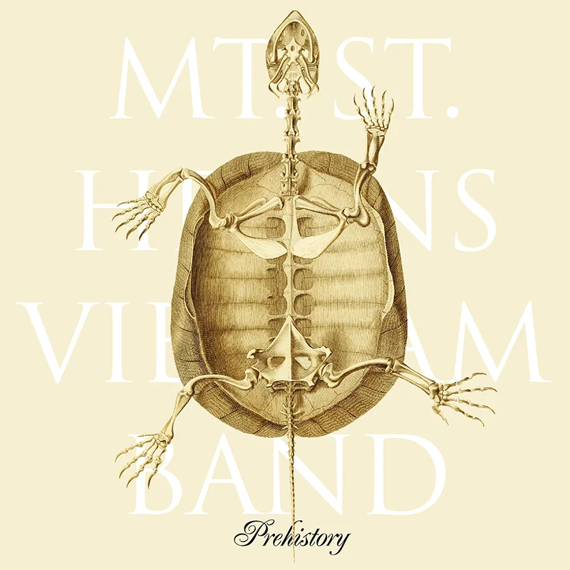 mshvb-1.jpg