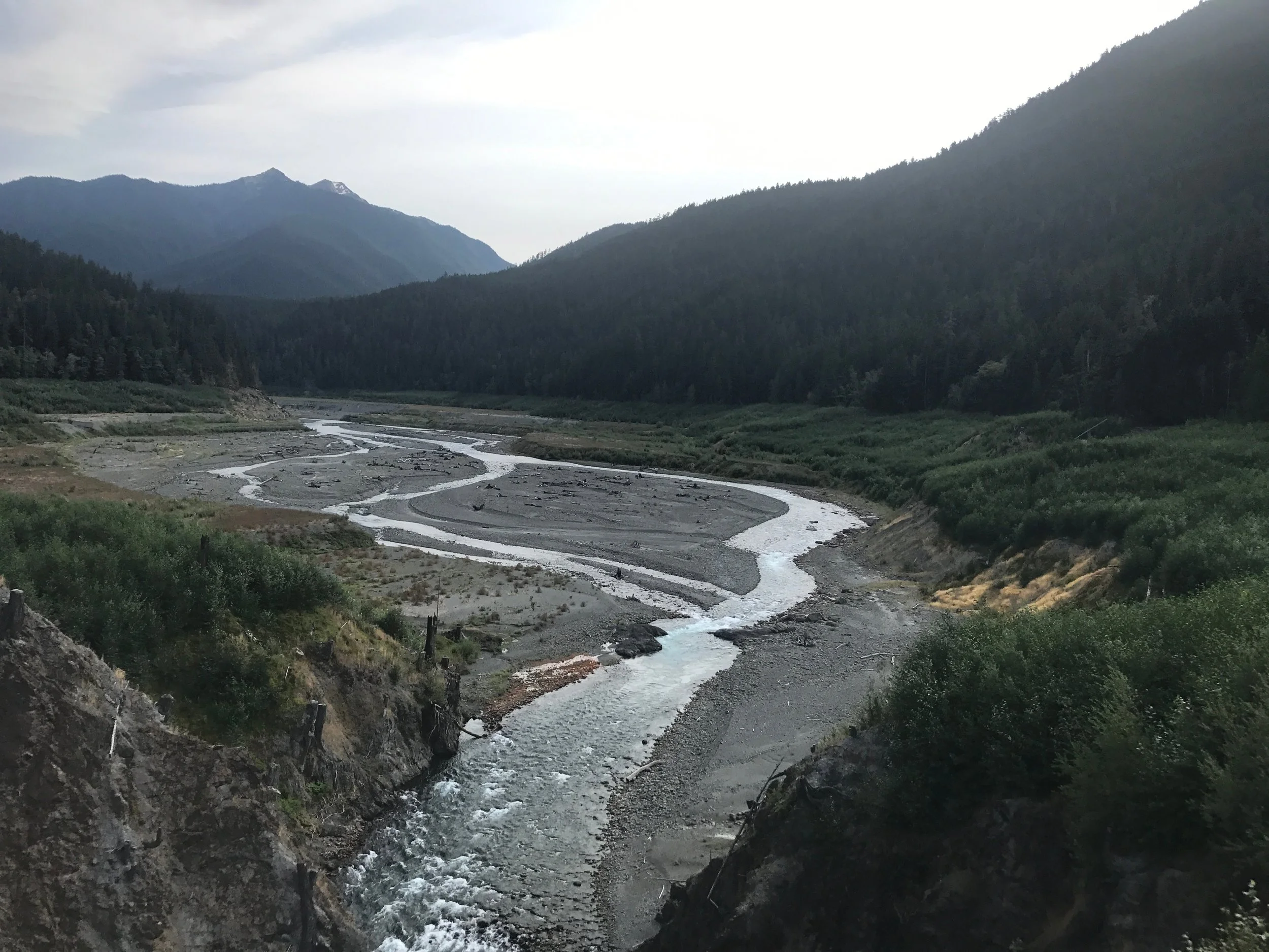 The Elwha River on the Olympic Peninsula in Washington State. This used to be the site of a hydroelectric dam. With dam removals along the river in recent years, the waters are again flowing freely and salmon are venturing further and further upstream.