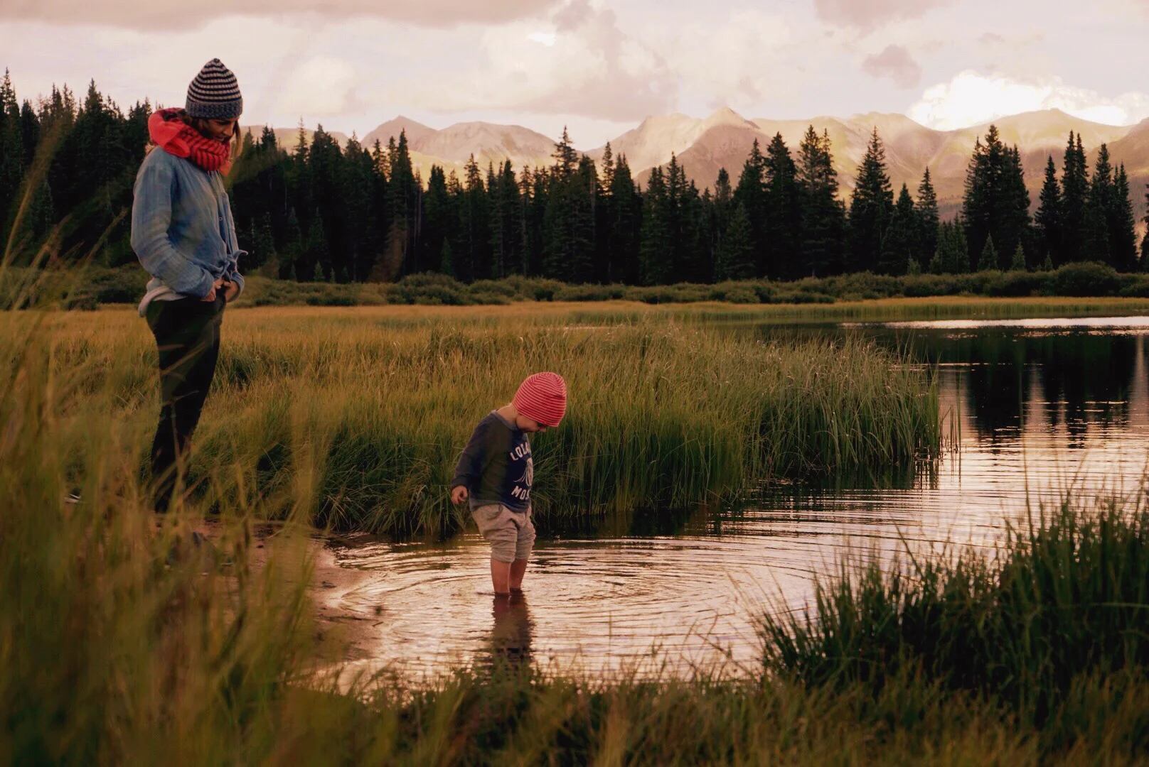 molas pass, colorado: summer