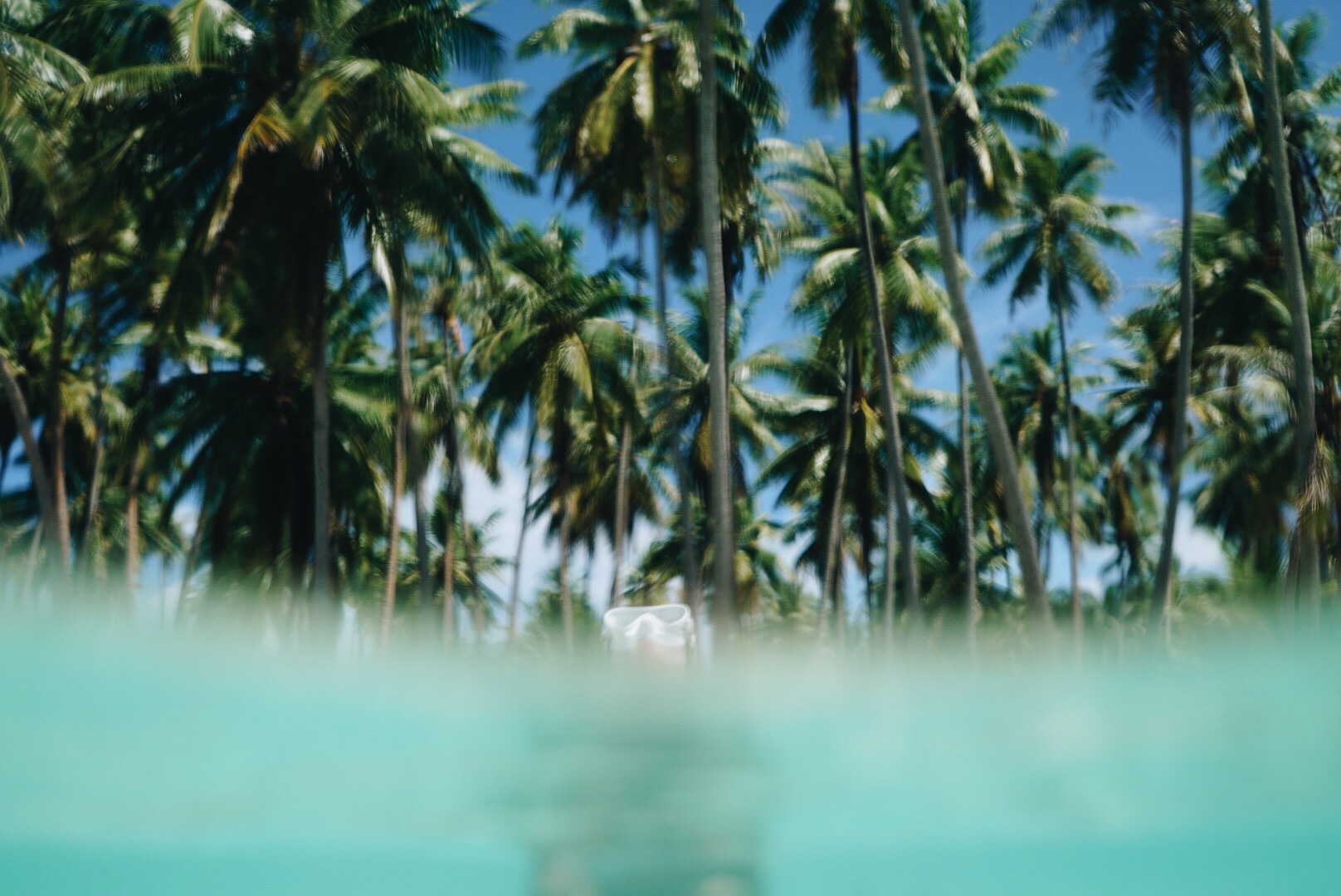 tahaa, tahiti, french polynesia: spring