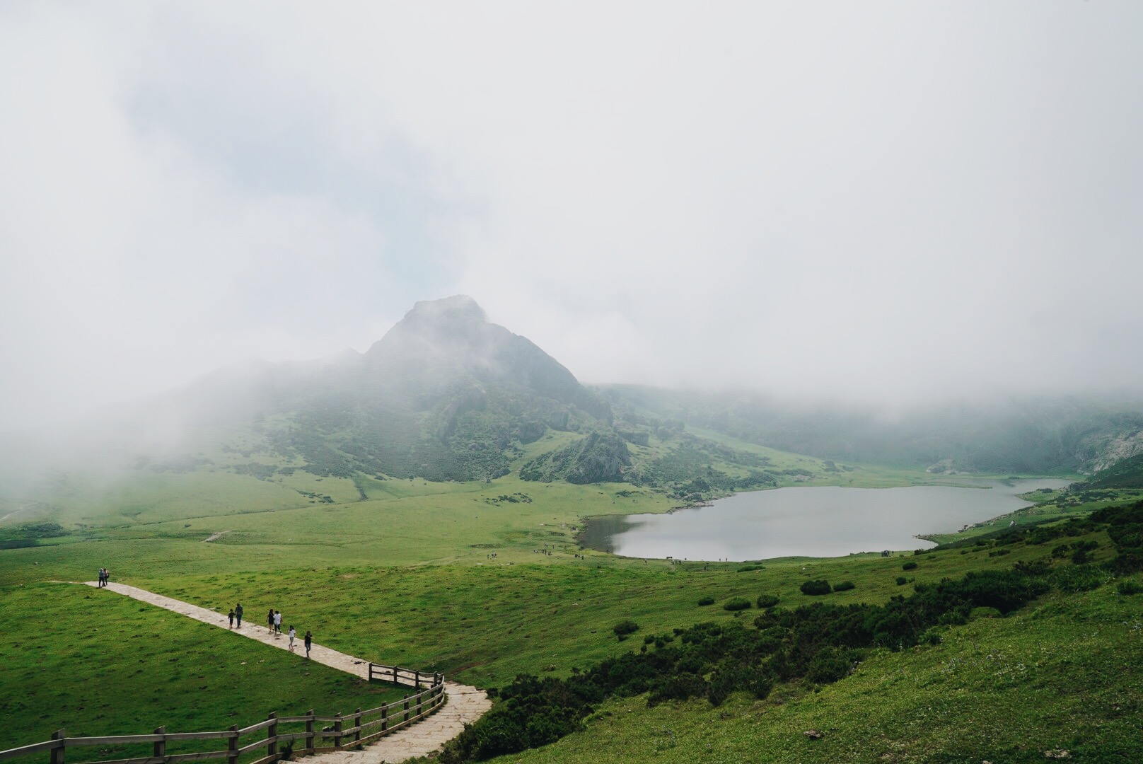 parque nacional de los picos de europa, asturias, spain: summer