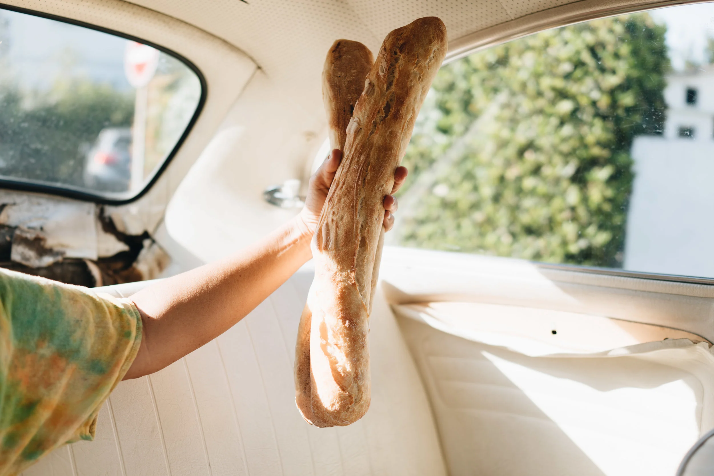 biarritz, basque country, france: spring