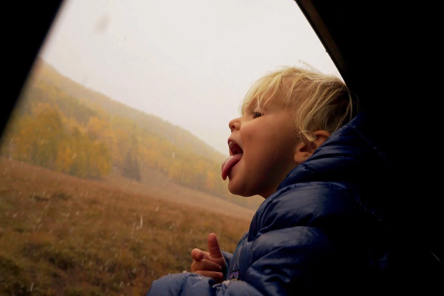 vail, colorado: fall