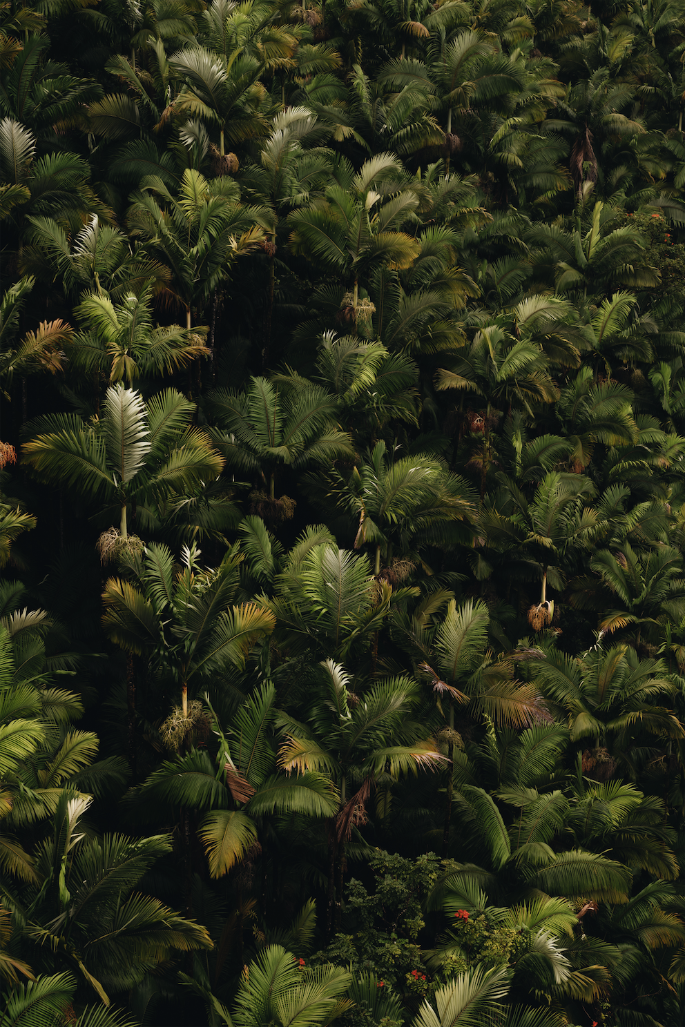 Screen Shot 2021-09-15 at 7.57.36 AM.png