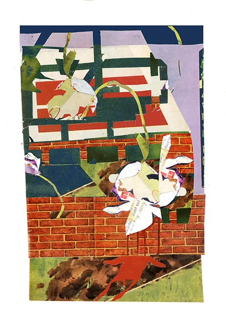 bloomoff.jpg