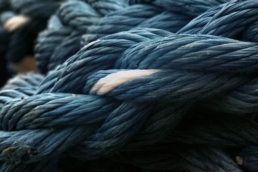 pexels-photo-47983-medium.jpeg