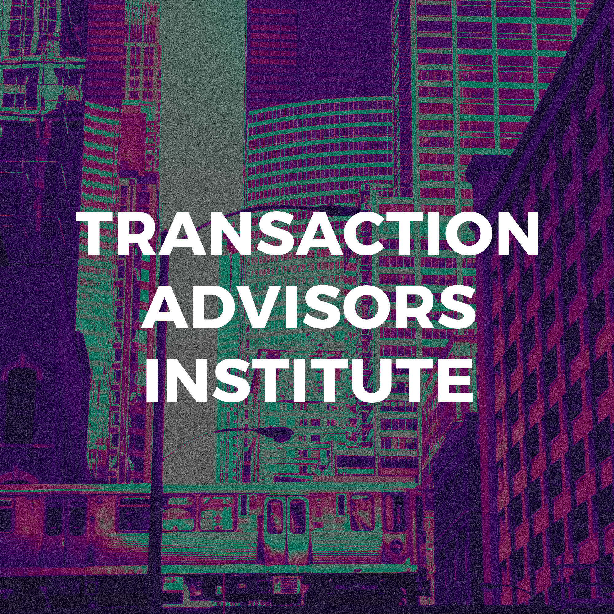Transaction Advisors Institute