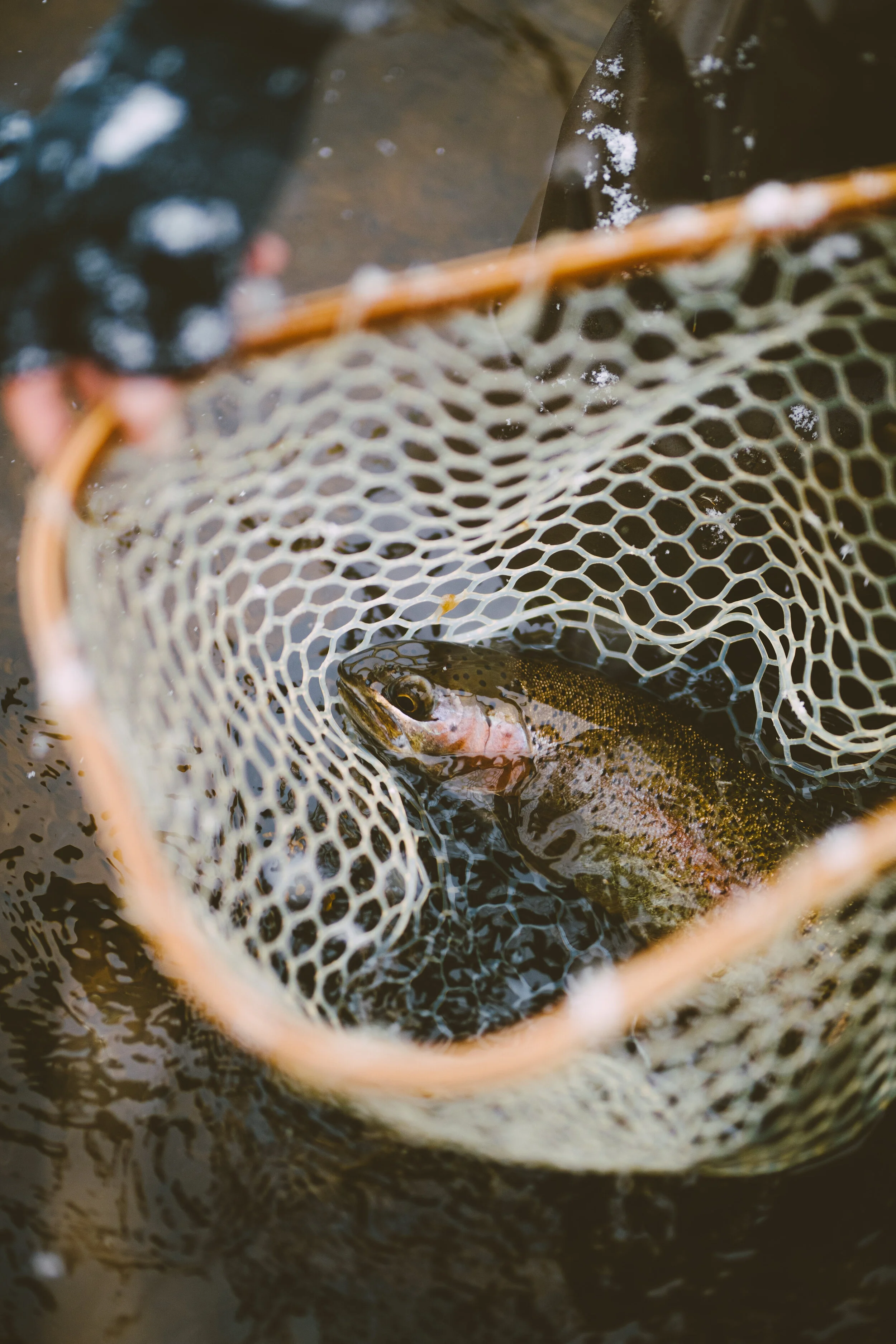 Fishing-6.jpg