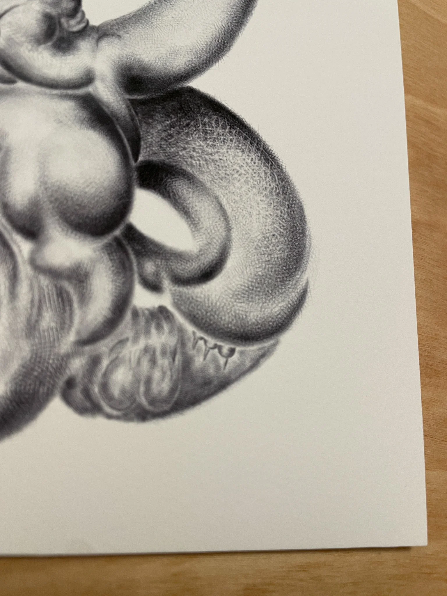 PHASE INVERSION SEAMLESS 14X13-1.jpg