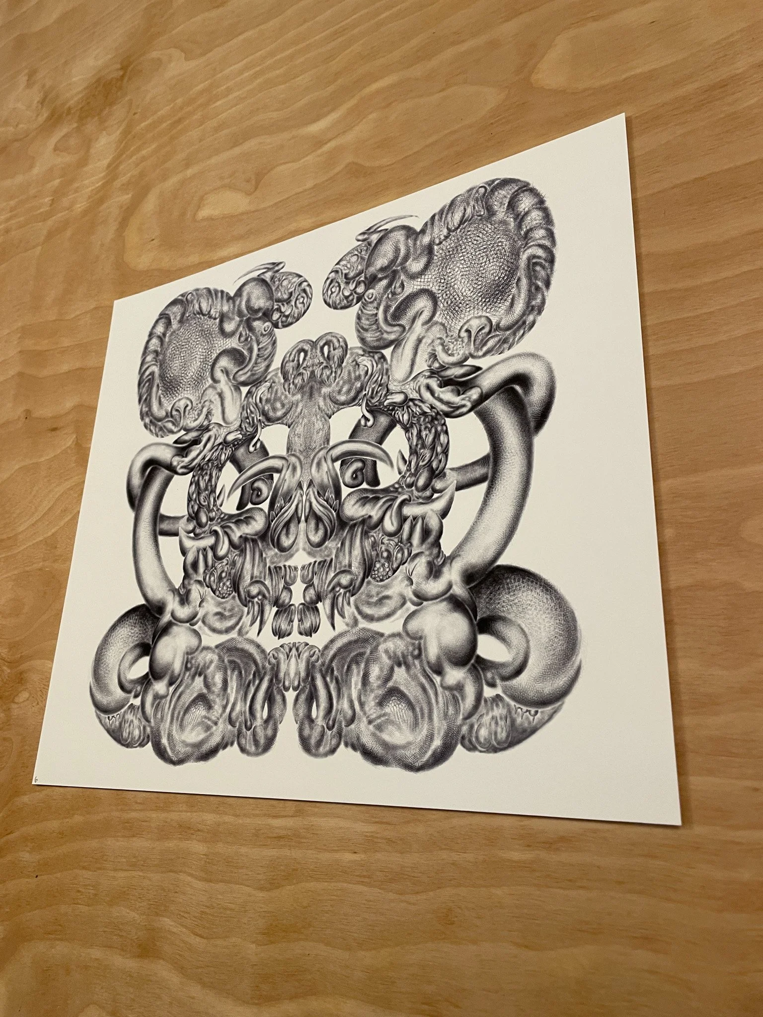 PHASE INVERSION SEAMLESS 14X13-3.jpg