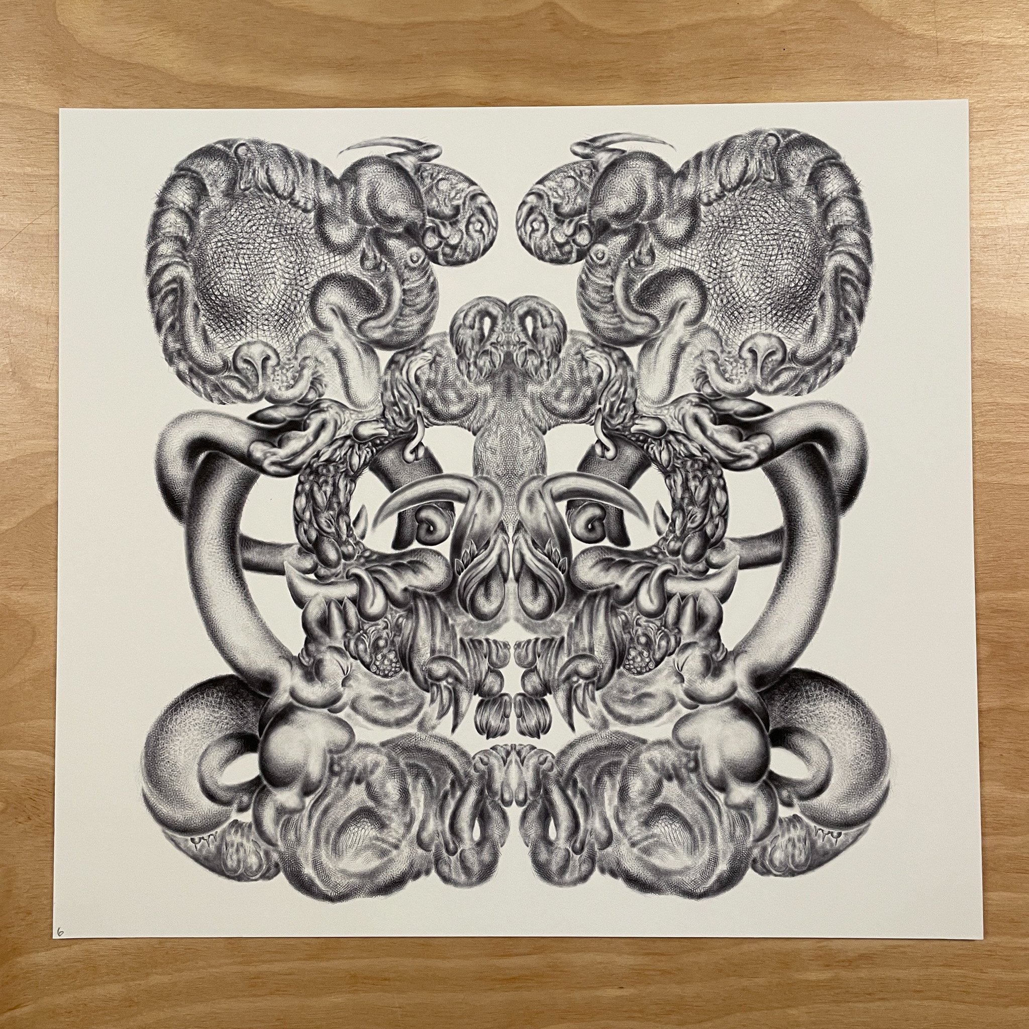 PHASE INVERSION SEAMLESS 14X13-7.jpg