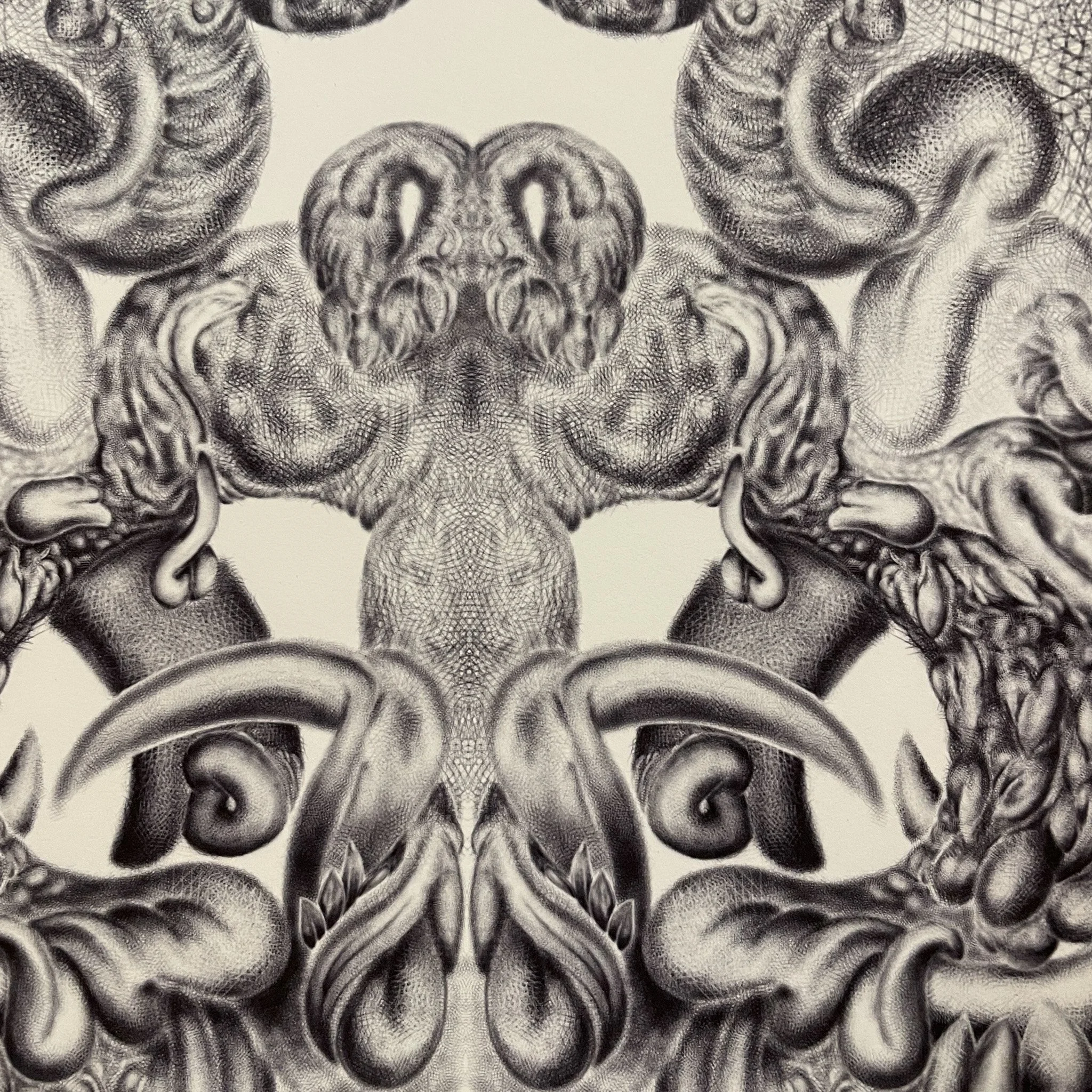 PHASE INVERSION SEAMLESS 14X13-6.jpg