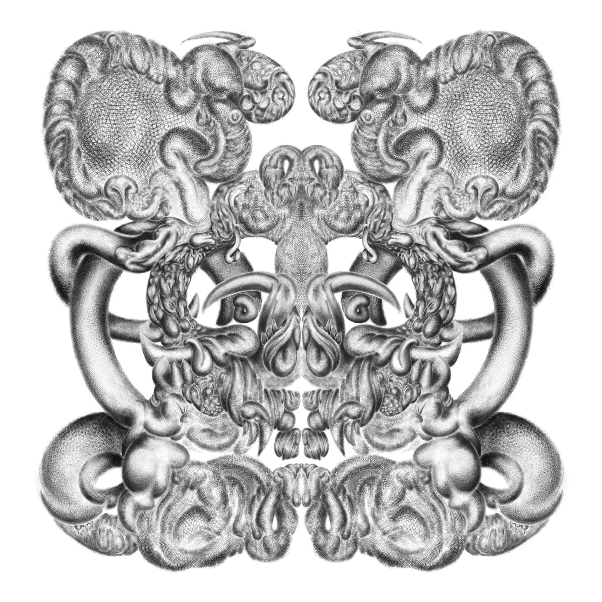 PHASE INVERSION SEAMLESS.jpg