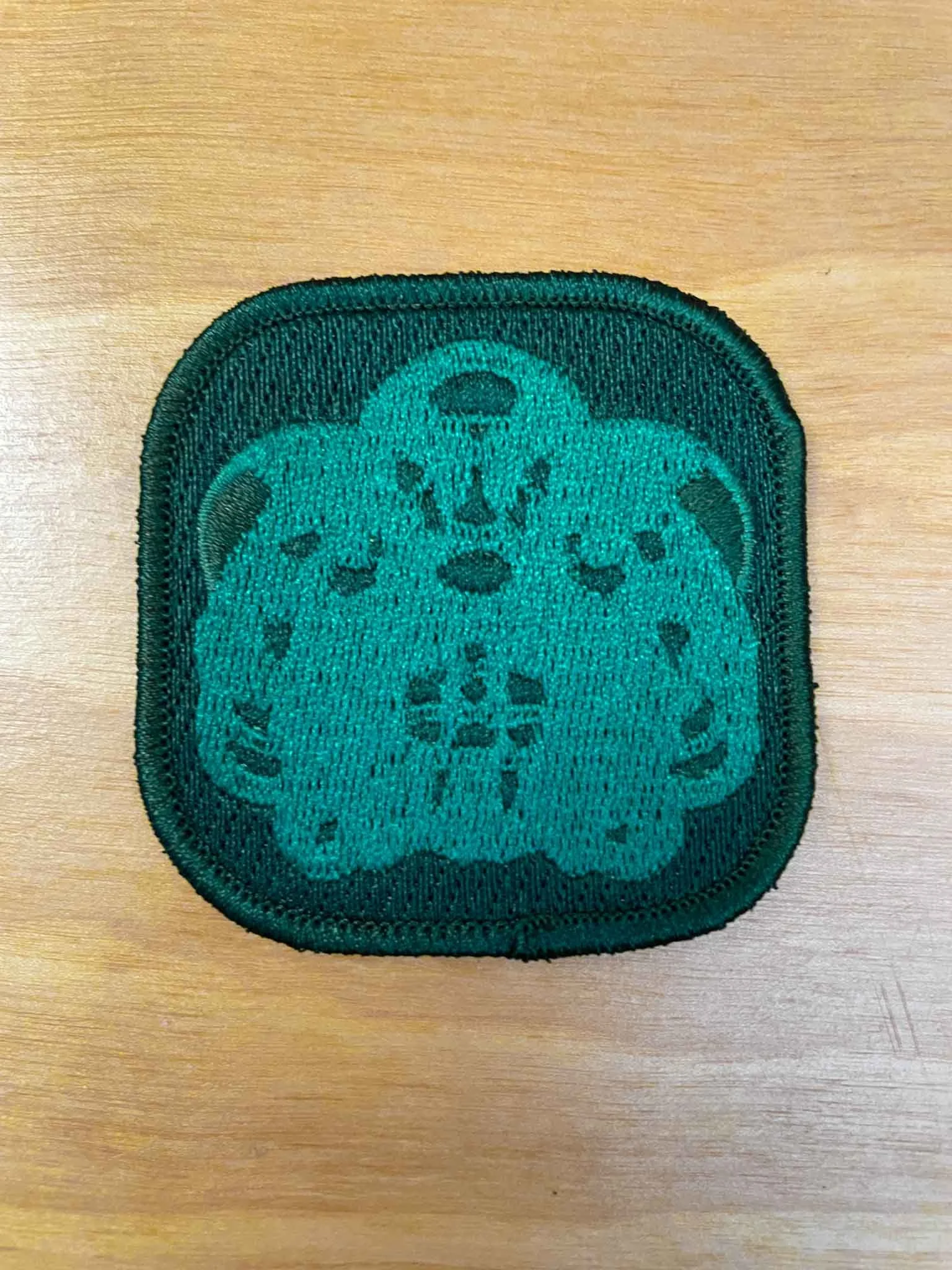 BADGE OF HONOR-5.jpg