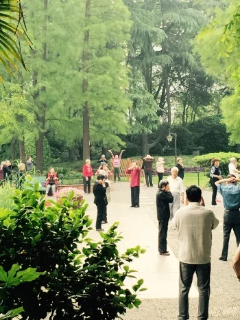Shanghai residents practicing Qigong early in the morning at a local park. Qigong is a traditional Chinese system of physical exercises and meditation. Photo: Michelle Schurig