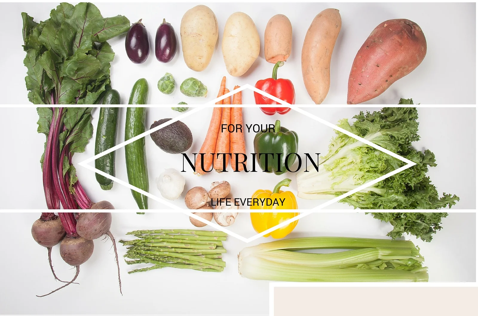 NUTRITION.jpg