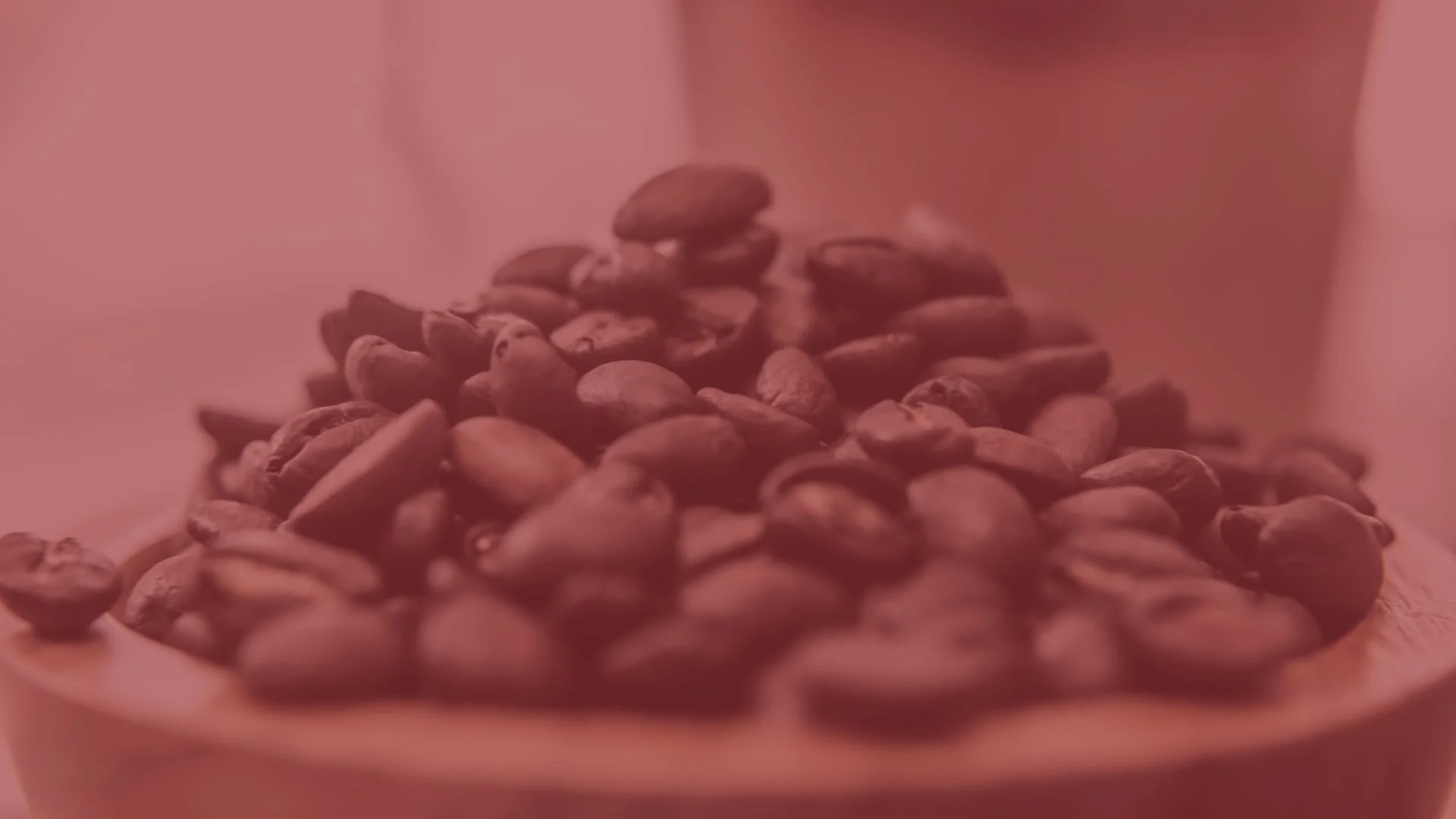 Kunjani Craft Coffee
