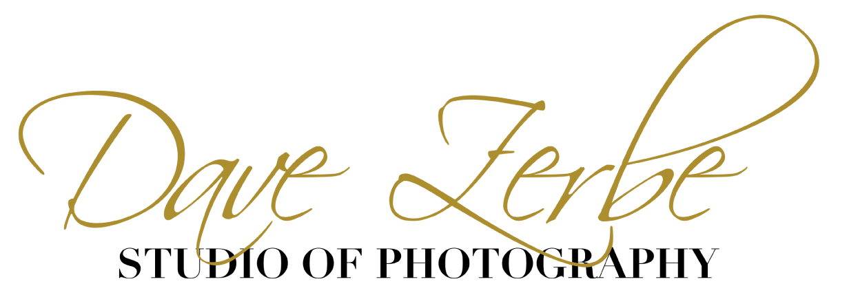 Dave Zerbe logo.png
