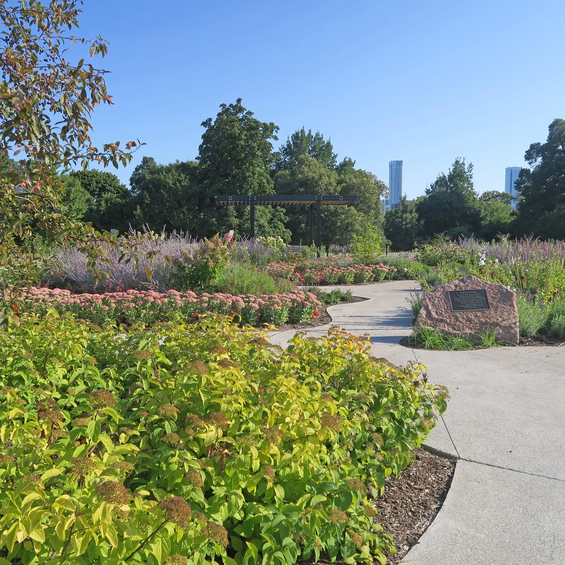 David Balfour Park is back!